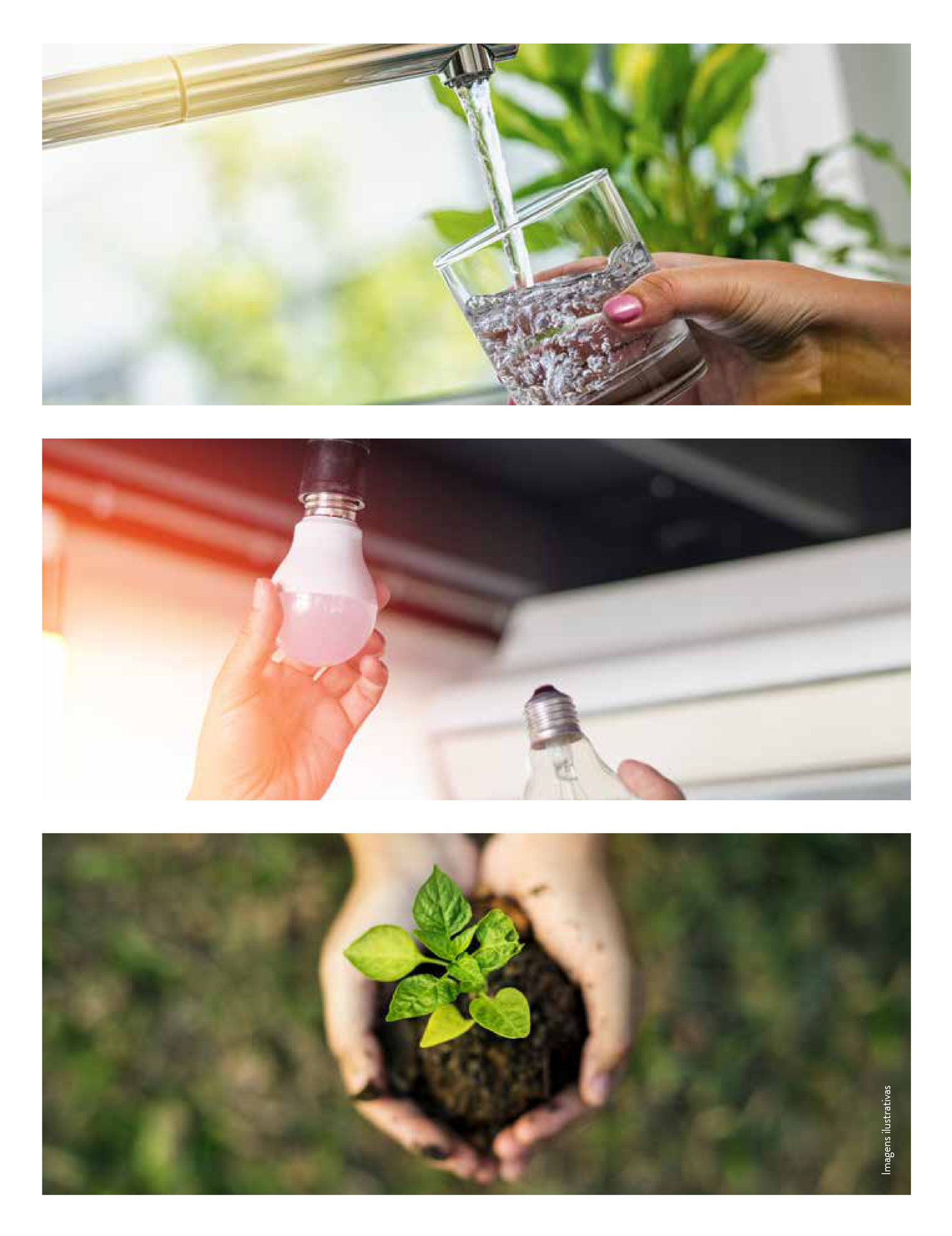 sustentabilidade {{brizy_dc_image_alt imageSrc=